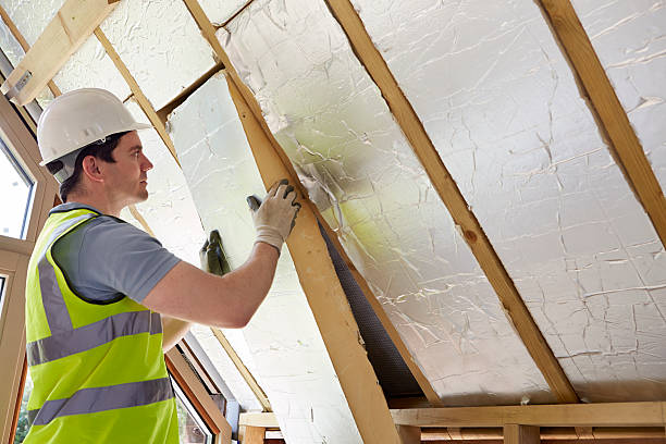 Best Best Insulation Companies  in Carthage, IL
